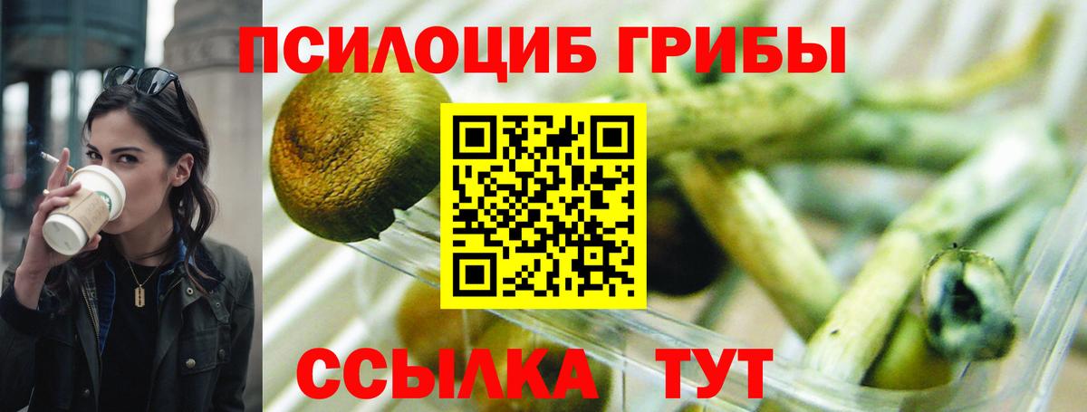Галлюциногенные грибы MAGIC MUSHROOMS  Вход с VPN  Тара  Галлюциногенные грибы мицелий 